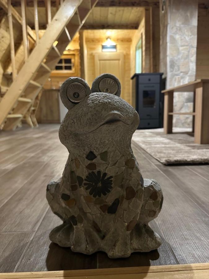 Frogland Apartman Žabljak Kültér fotó